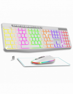 R-TYPE PLUS INALÁMBRICO