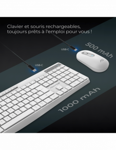 R-TYPE PLUS WIRELESS