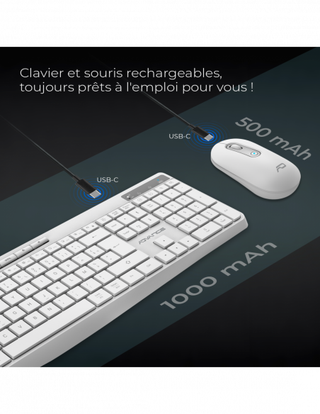 R-TYPE PLUS WIRELESS