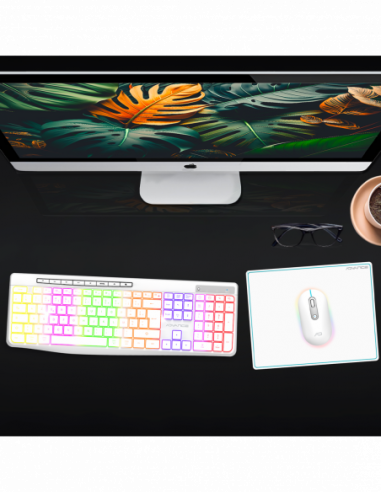 R-TYPE PLUS WIRELESS