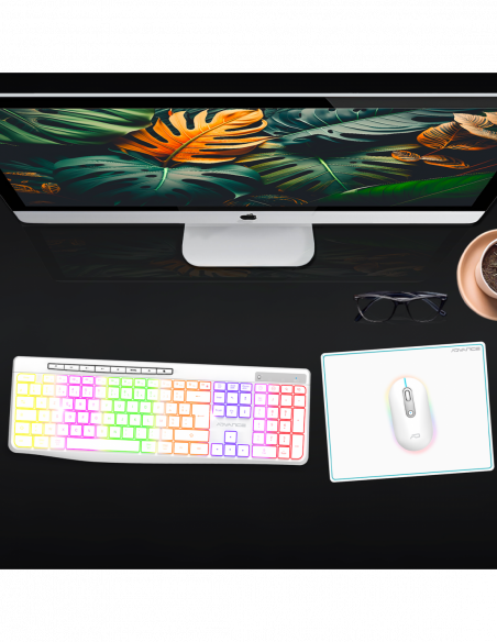 R-TYPE PLUS WIRELESS