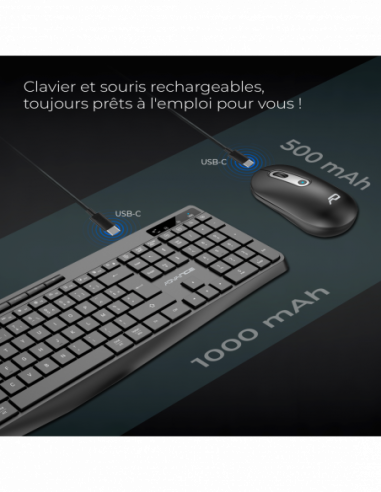 R-TYPE PLUS WIRELESS