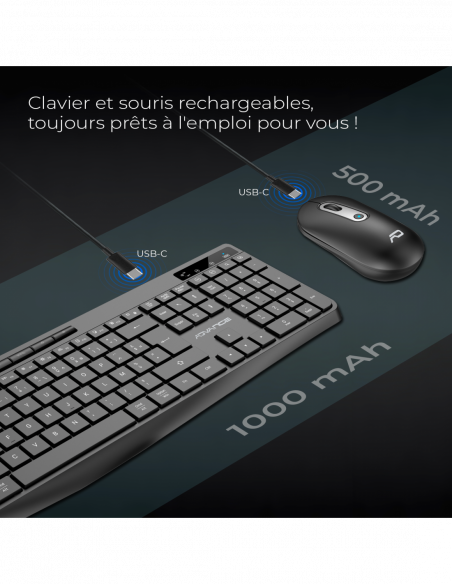 R-TYPE PLUS WIRELESS
