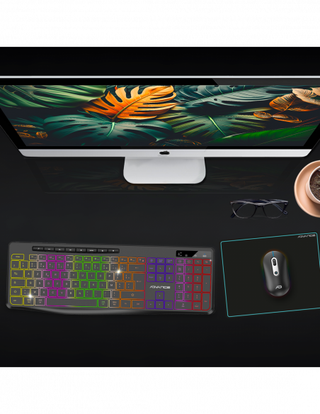 R-TYPE PLUS WIRELESS